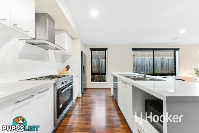 19 Vantage Drive PAKENHAM VIC 3810