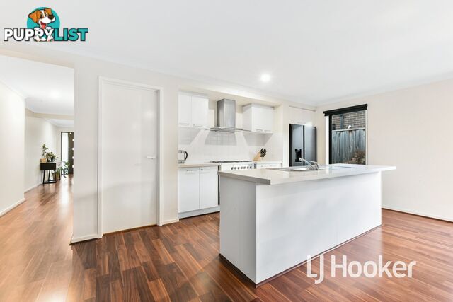 19 Vantage Drive PAKENHAM VIC 3810