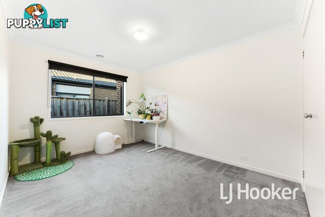 19 Vantage Drive PAKENHAM VIC 3810