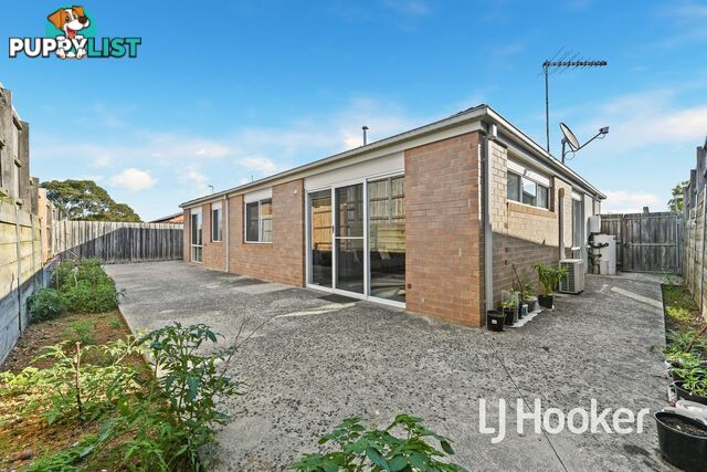 17 McClenaghan Place PAKENHAM VIC 3810