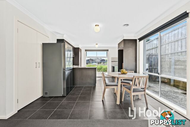 17 McClenaghan Place PAKENHAM VIC 3810