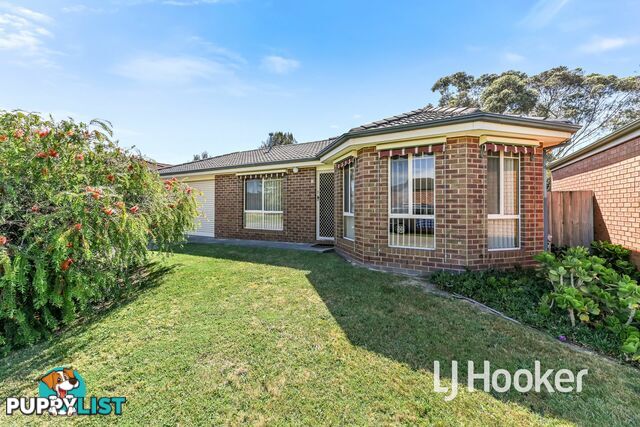 16 Rossi Close PAKENHAM VIC 3810