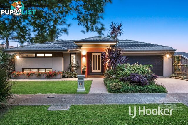 16 Sydney Street NARRE WARREN SOUTH VIC 3805