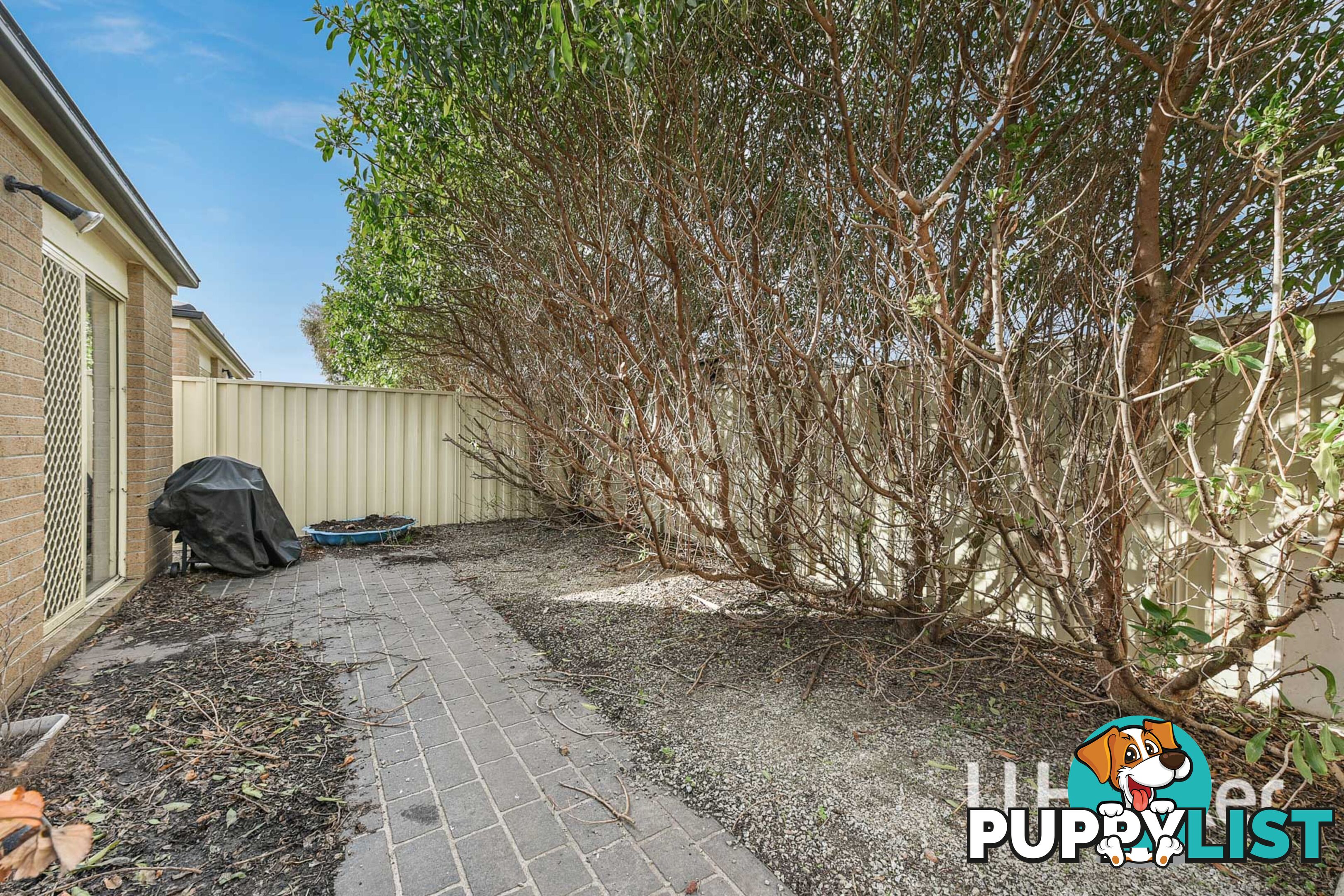 29 Webster Way PAKENHAM VIC 3810