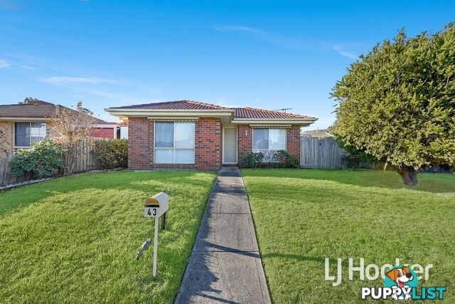 43 Maria Crescent PAKENHAM VIC 3810