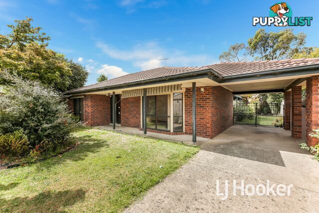 16 Eleanor Court PAKENHAM VIC 3810