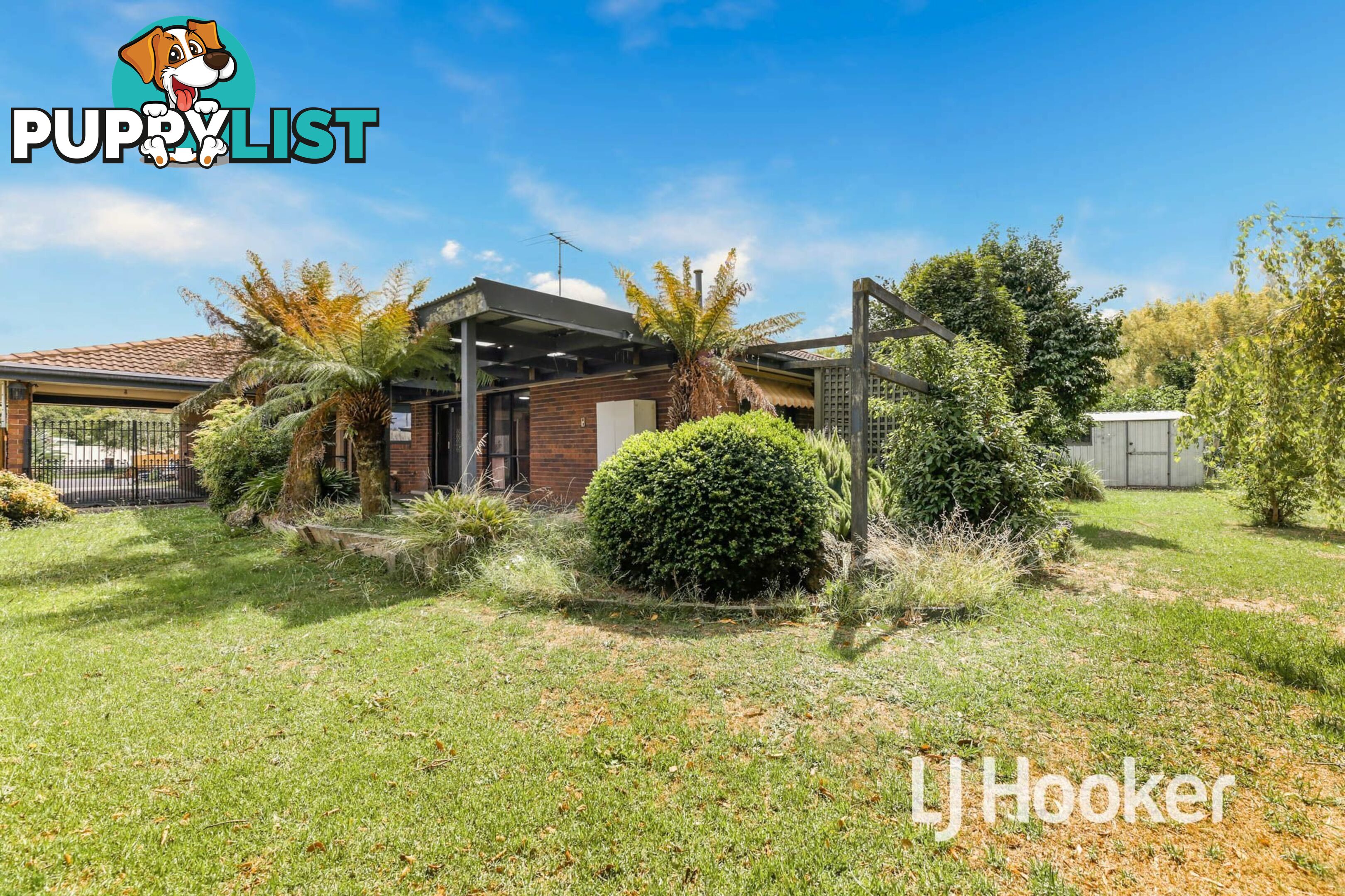 16 Eleanor Court PAKENHAM VIC 3810