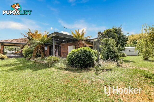 16 Eleanor Court PAKENHAM VIC 3810