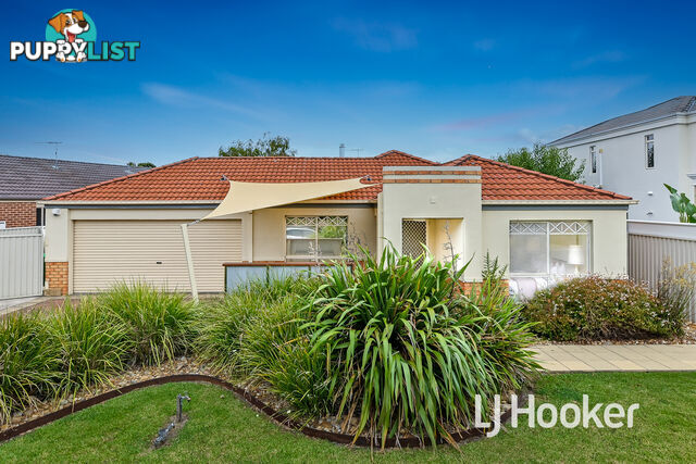 15 Creekwood Avenue PAKENHAM VIC 3810