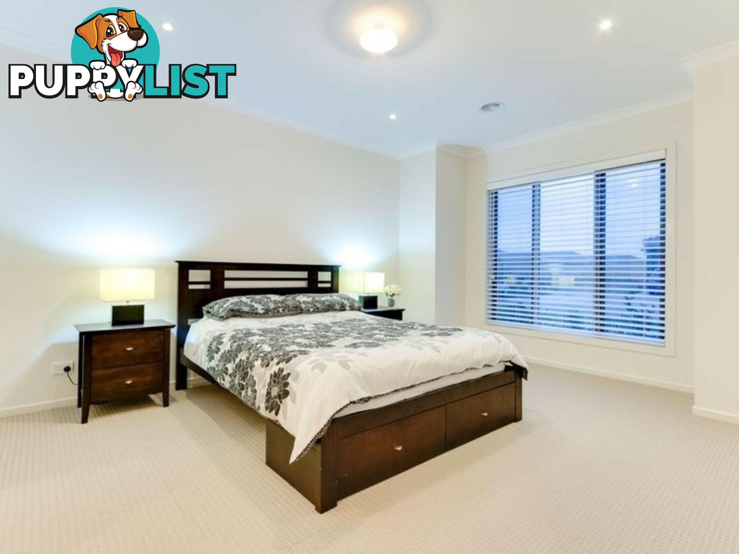 34 Viridian Avenue OFFICER VIC 3809