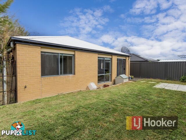 10 Pashia Grove PAKENHAM VIC 3810