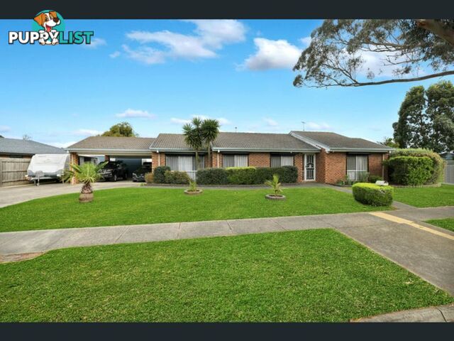 1 Harness Place PAKENHAM VIC 3810