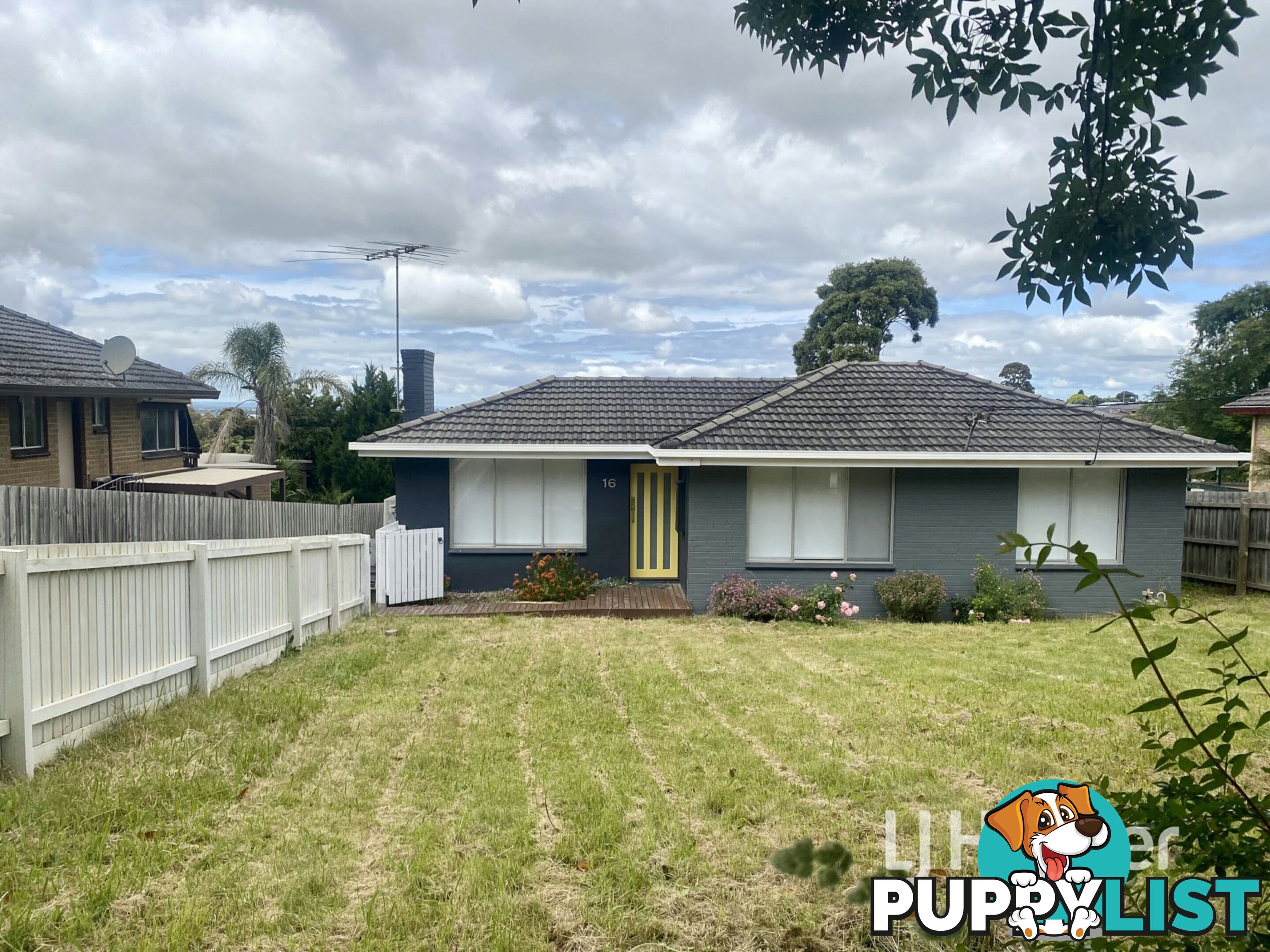 16 Gardenia Street PAKENHAM VIC 3810