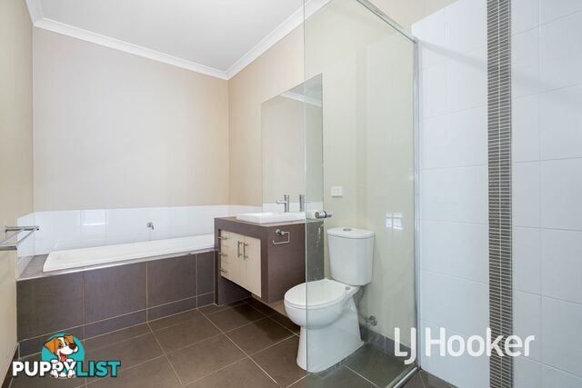 13 Albatross Drive PAKENHAM VIC 3810