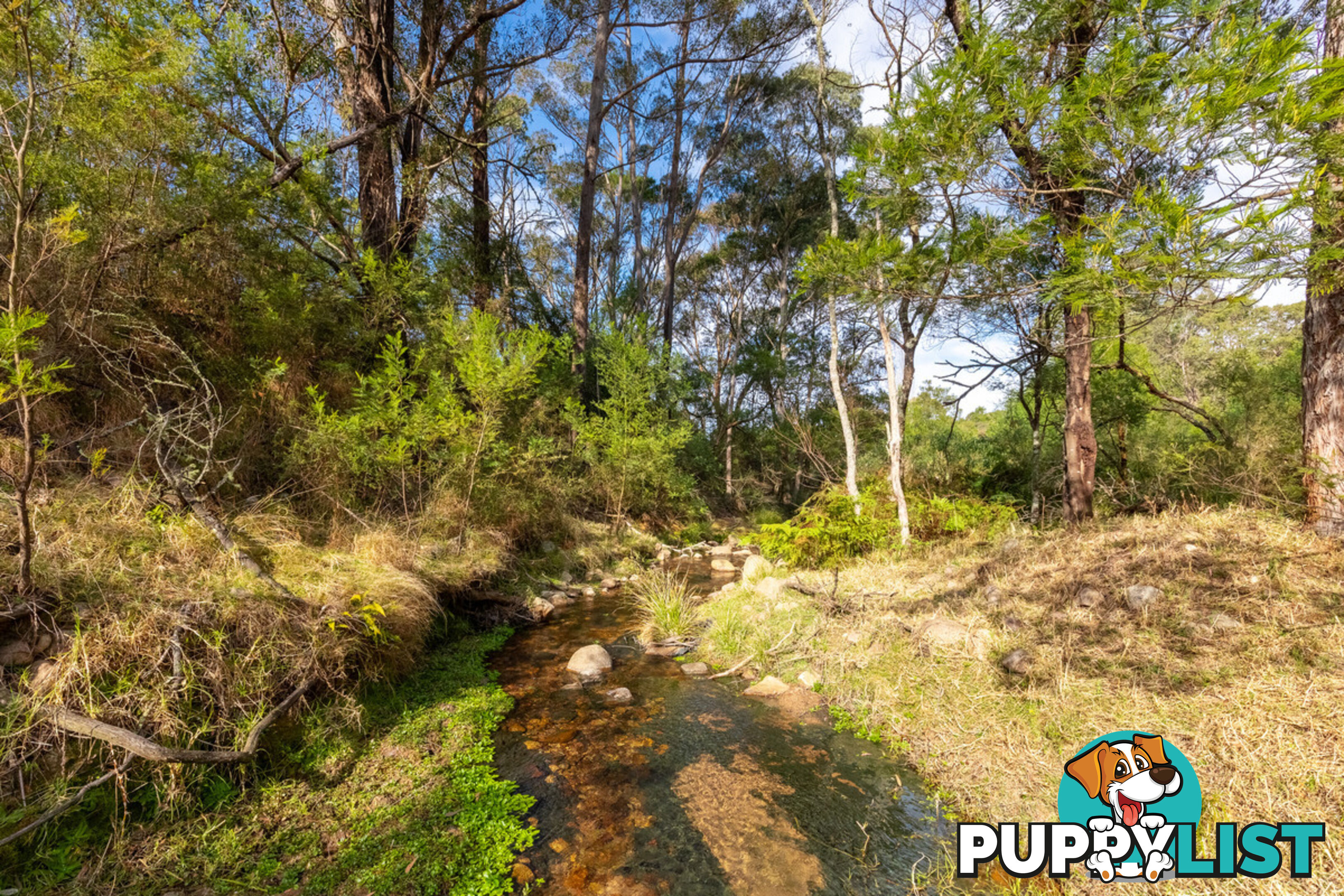 27 Yankees Gap Fire Trail Bemboka NSW 2550