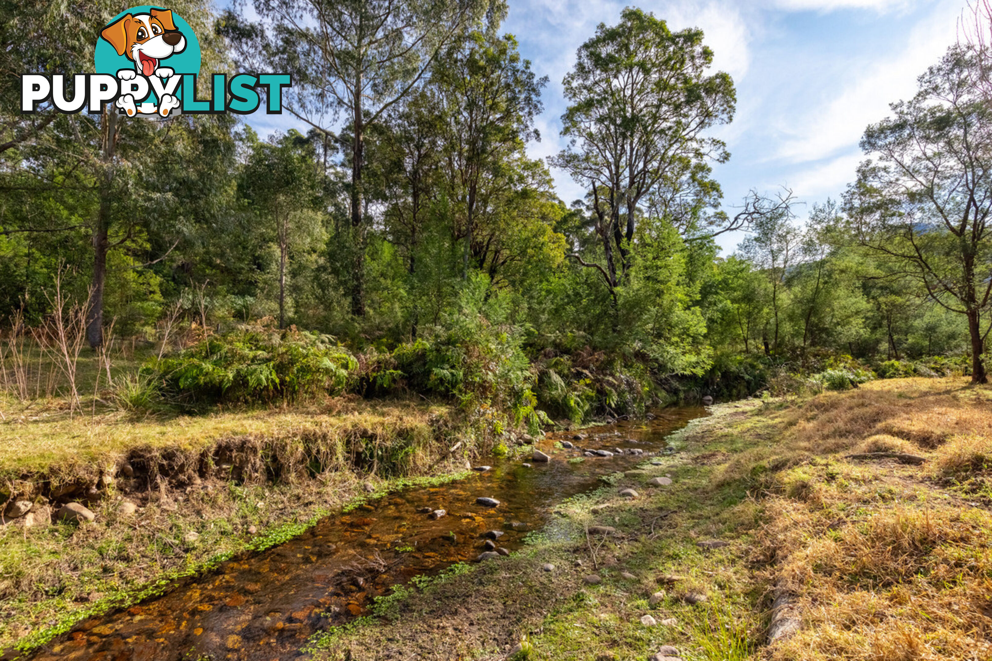 27 Yankees Gap Fire Trail Bemboka NSW 2550