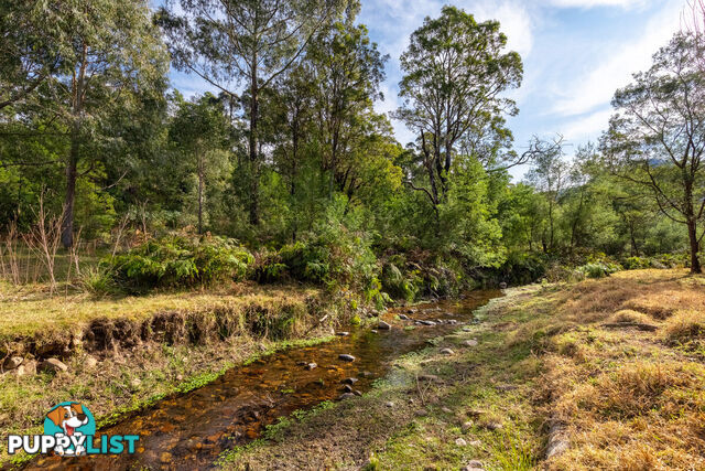 27 Yankees Gap Fire Trail Bemboka NSW 2550