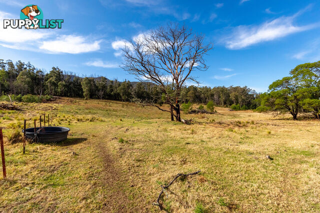 27 Yankees Gap Fire Trail Bemboka NSW 2550