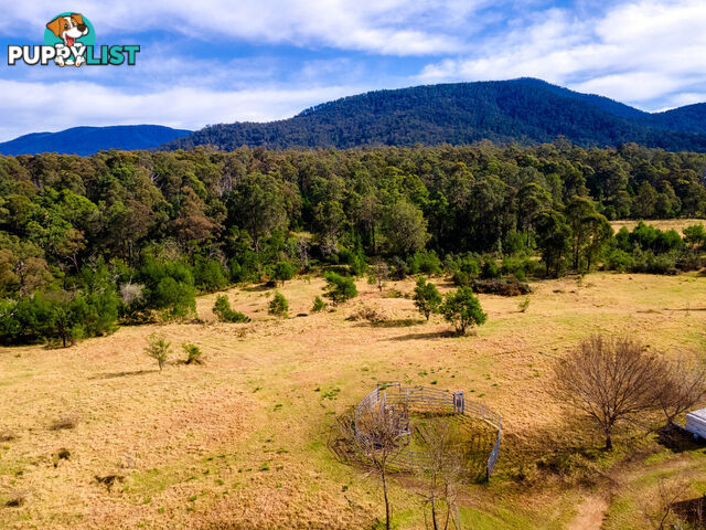 27 Yankees Gap Fire Trail Bemboka NSW 2550