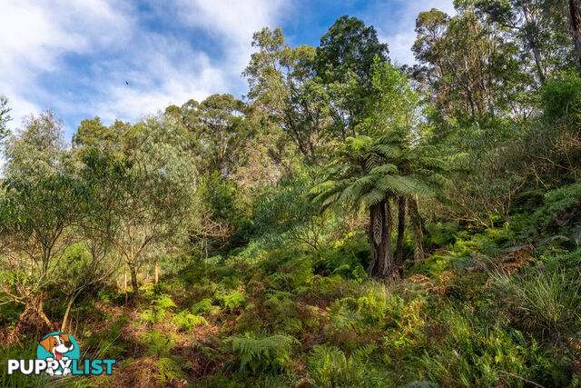 27 Yankees Gap Fire Trail Bemboka NSW 2550