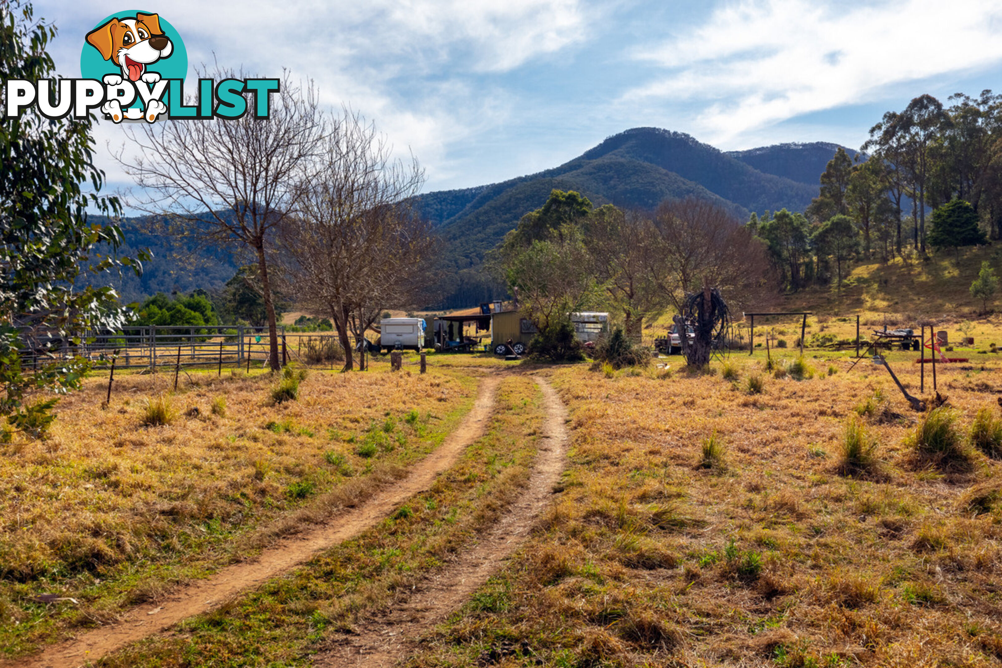 27 Yankees Gap Fire Trail Bemboka NSW 2550