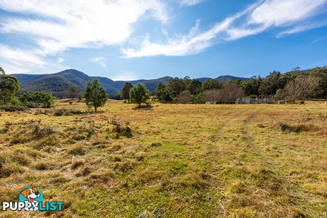 27 Yankees Gap Fire Trail Bemboka NSW 2550