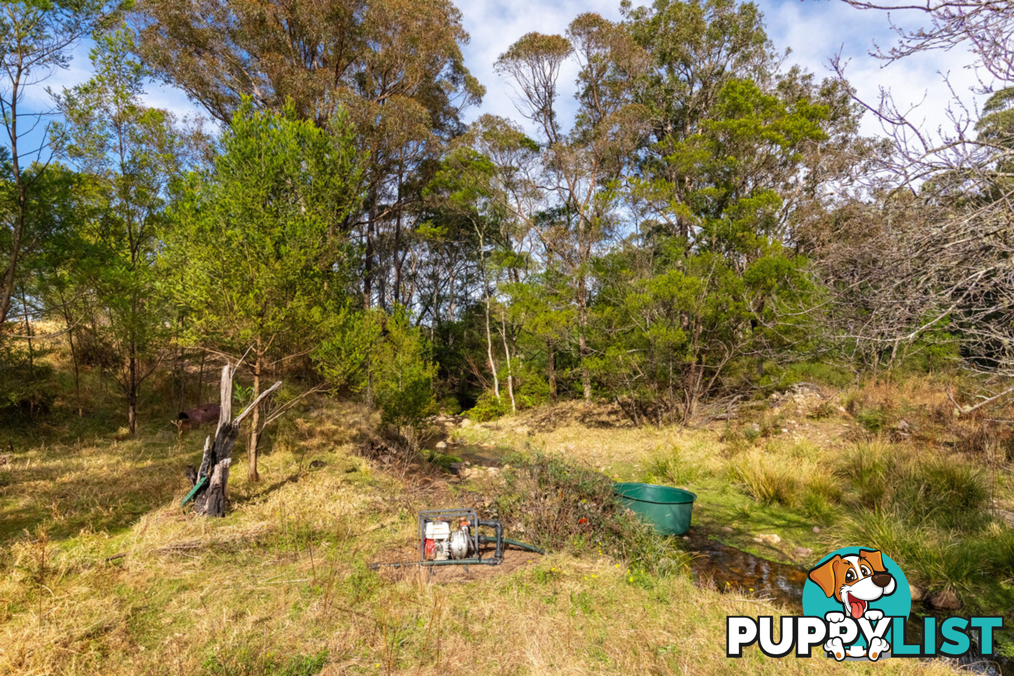 27 Yankees Gap Fire Trail Bemboka NSW 2550