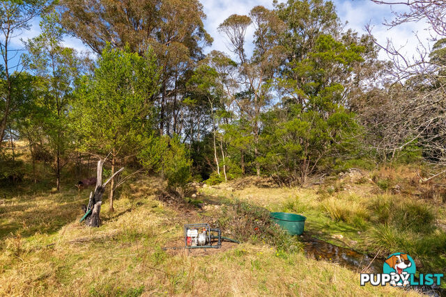 27 Yankees Gap Fire Trail Bemboka NSW 2550