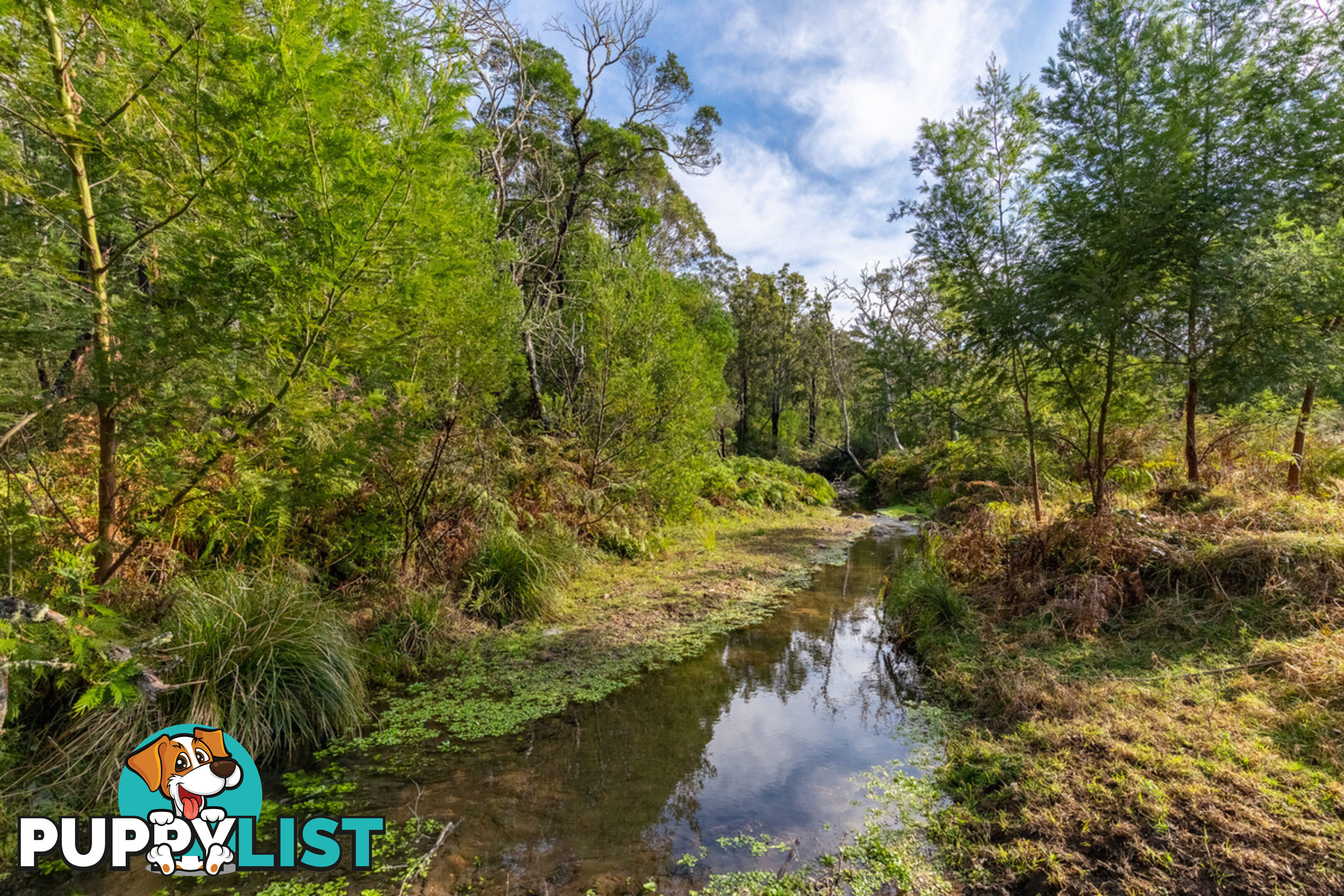 27 Yankees Gap Fire Trail Bemboka NSW 2550