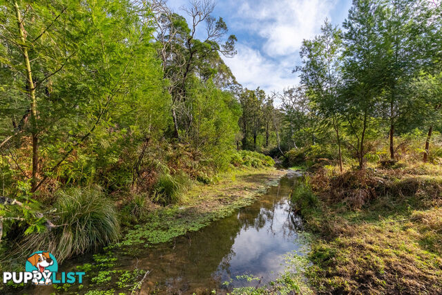 27 Yankees Gap Fire Trail Bemboka NSW 2550