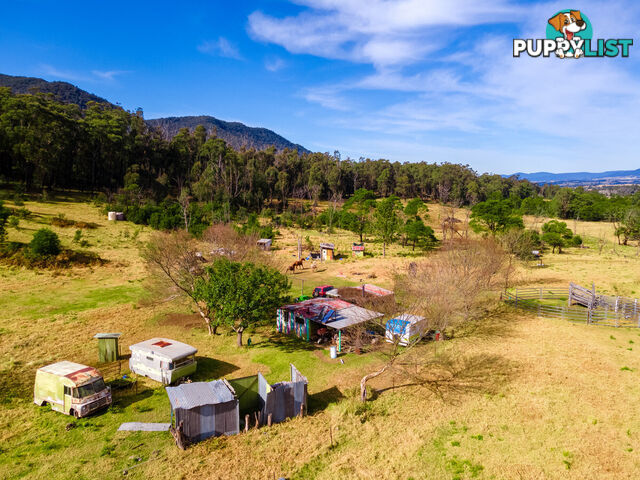 27 Yankees Gap Fire Trail Bemboka NSW 2550