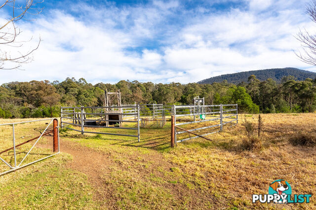 27 Yankees Gap Fire Trail Bemboka NSW 2550