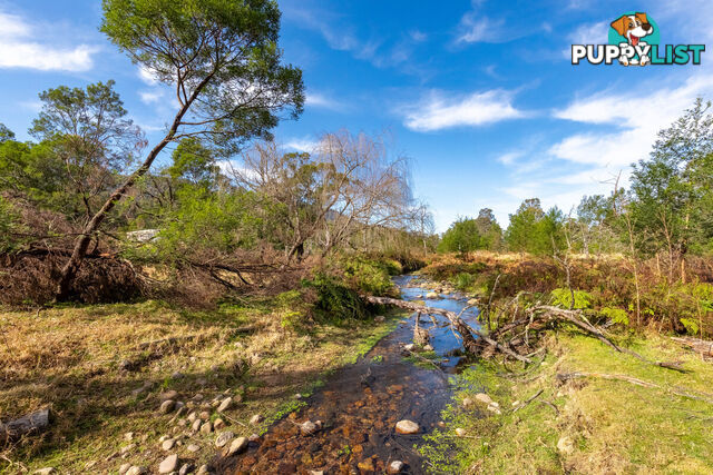 27 Yankees Gap Fire Trail Bemboka NSW 2550