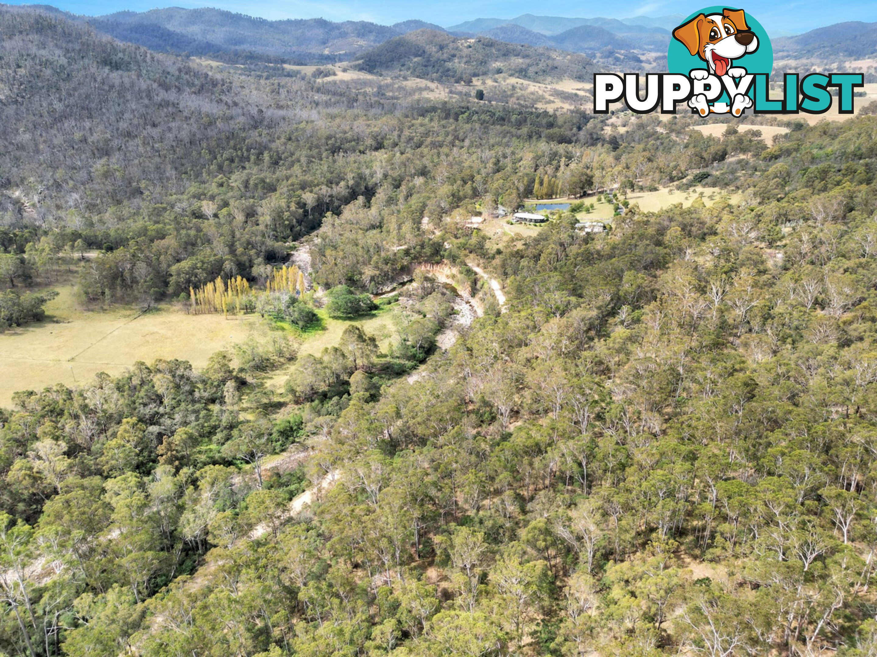 1697 Big Jack Mountain Road Rocky Hall NSW 2550