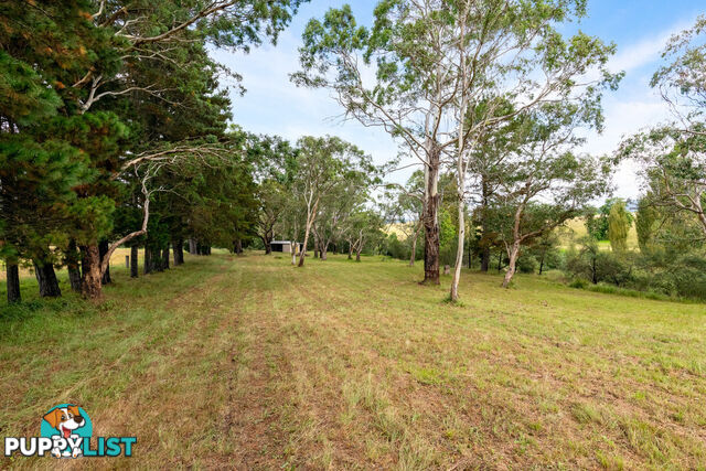 49 Tantawangalo Lane Tantawangalo NSW 2550