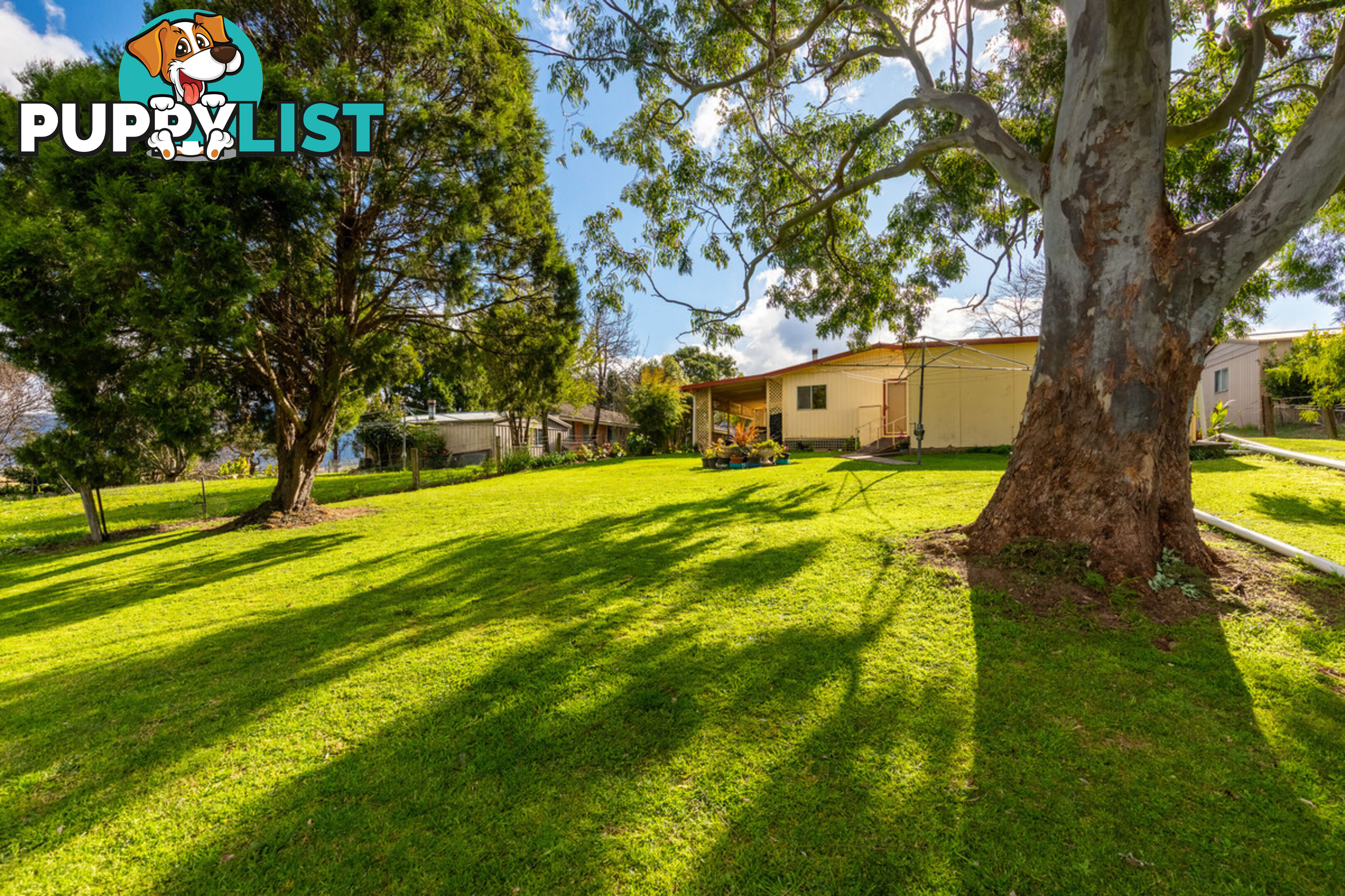 129 Loftus Street Bemboka NSW 2550