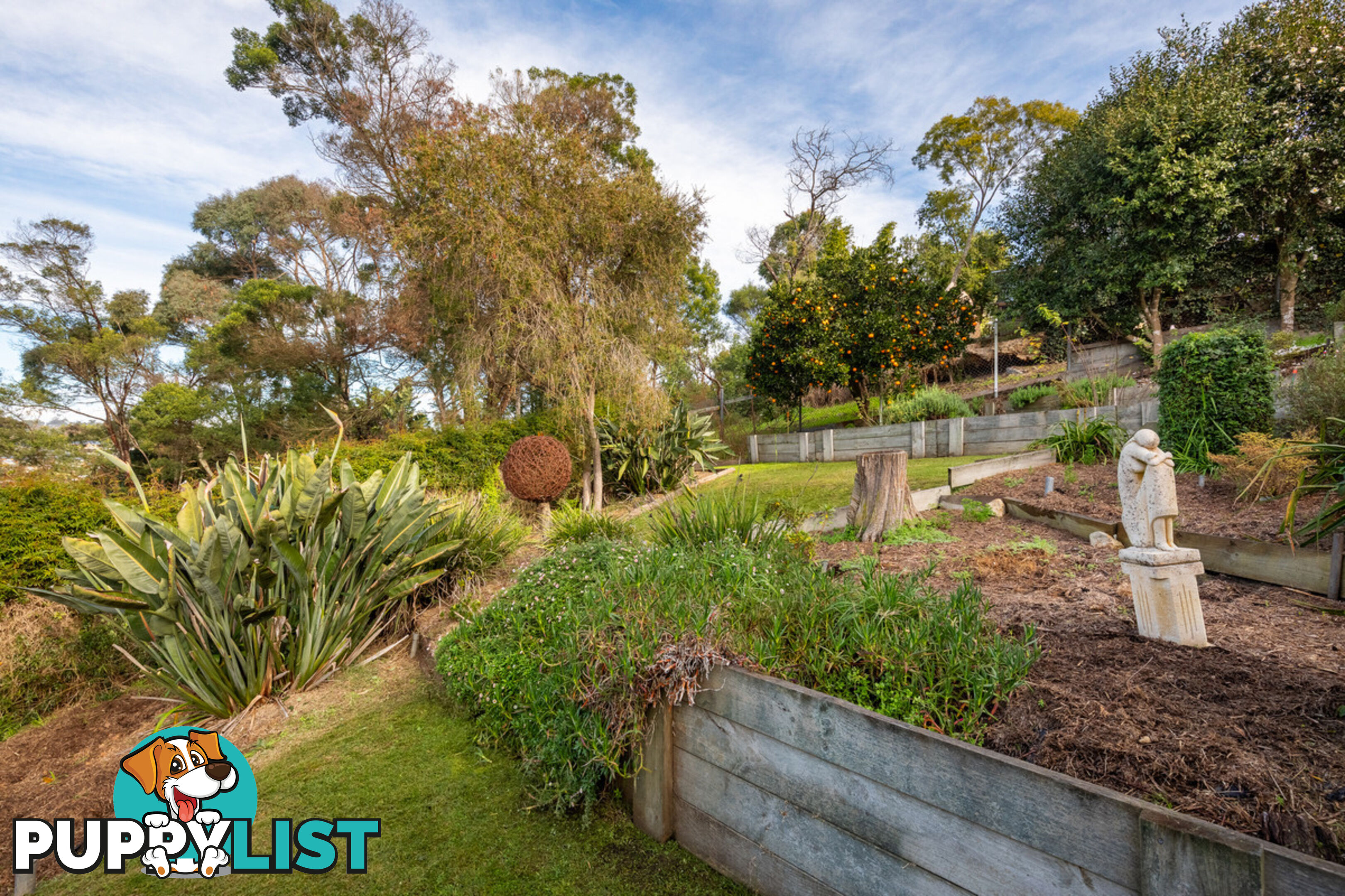 20 Belmore Street Bega NSW 2550