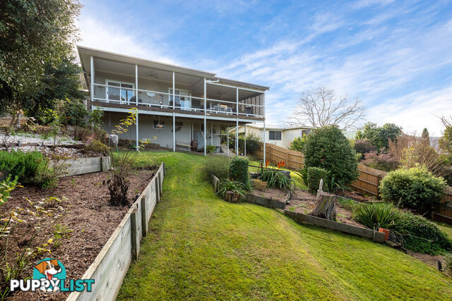 20 Belmore Street Bega NSW 2550