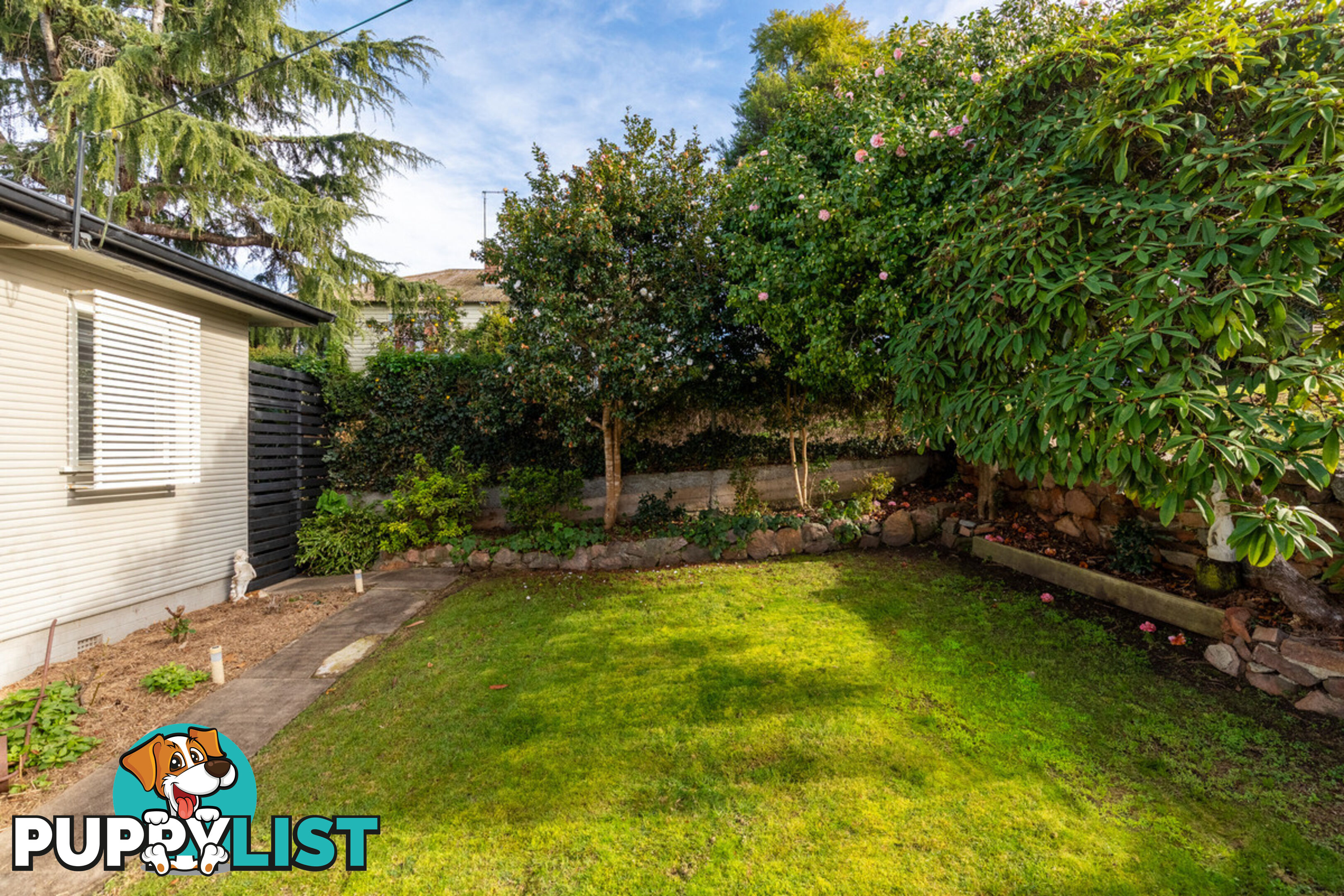 20 Belmore Street Bega NSW 2550