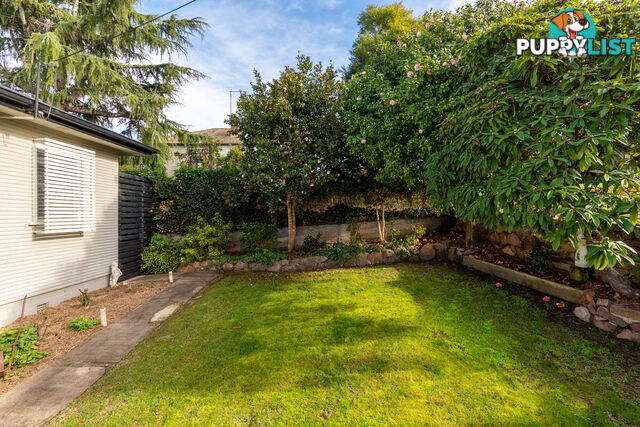 20 Belmore Street Bega NSW 2550