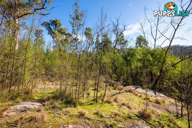 130 DP750228 Fulligans Road Pericoe NSW 2550