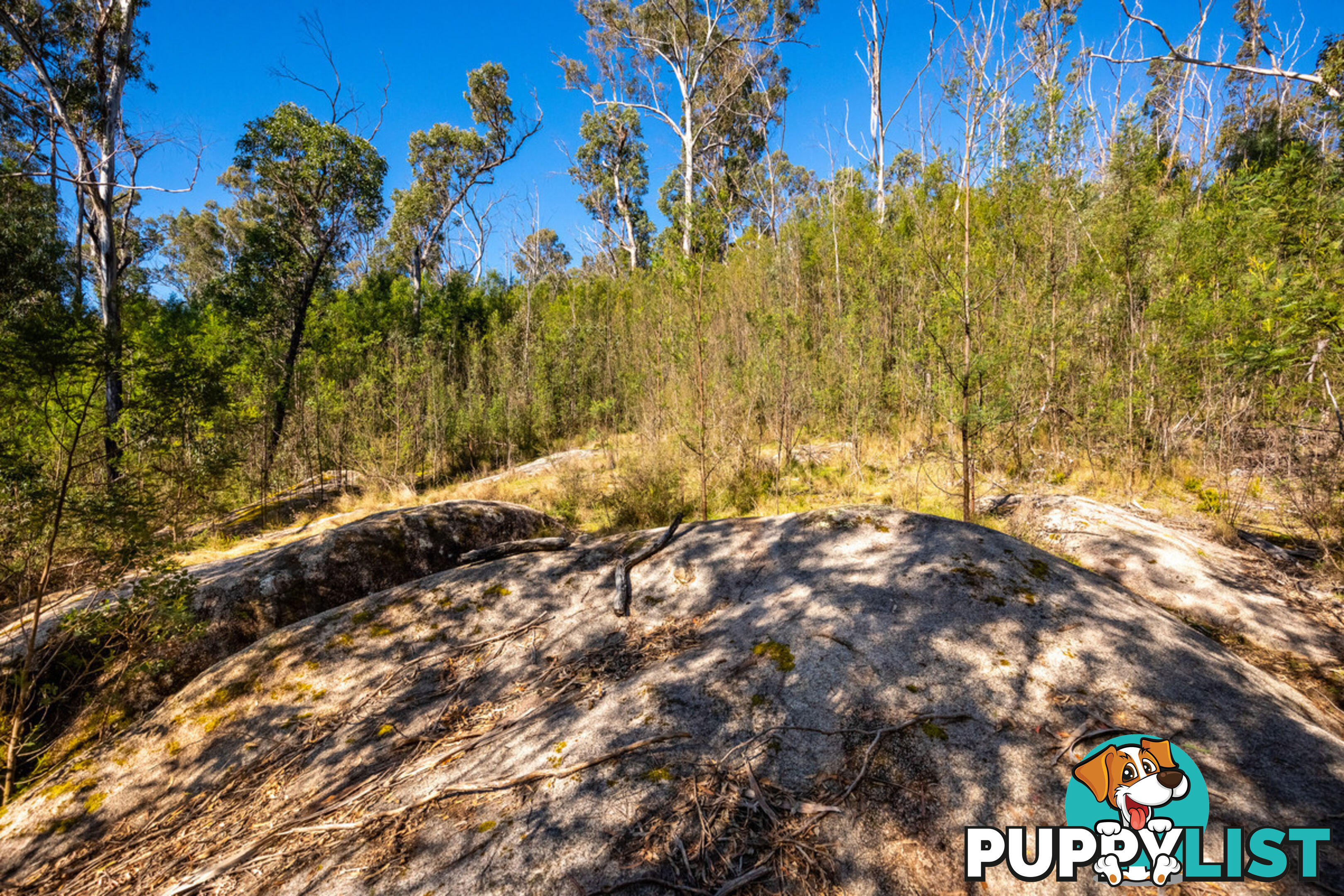 130 DP750228 Fulligans Road Pericoe NSW 2550