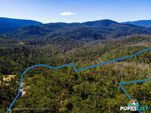 130 DP750228 Fulligans Road Pericoe NSW 2550