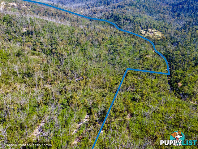 130 DP750228 Fulligans Road Pericoe NSW 2550