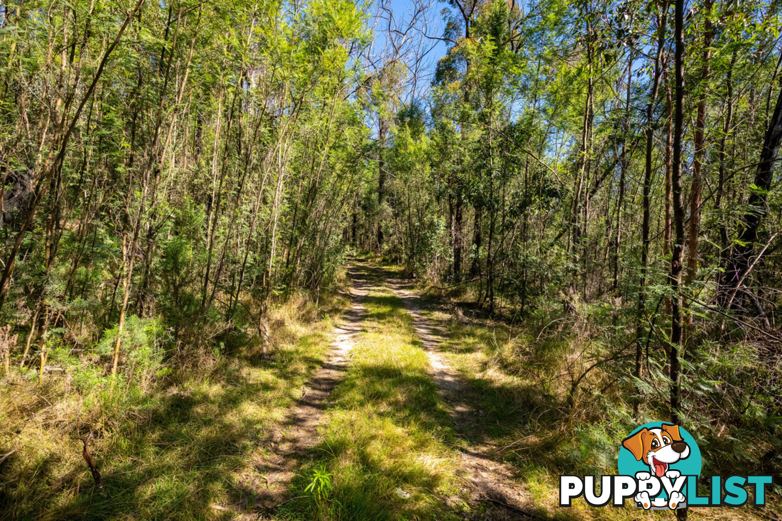 130 DP750228 Fulligans Road Pericoe NSW 2550