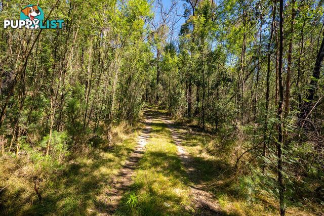 130 DP750228 Fulligans Road Pericoe NSW 2550