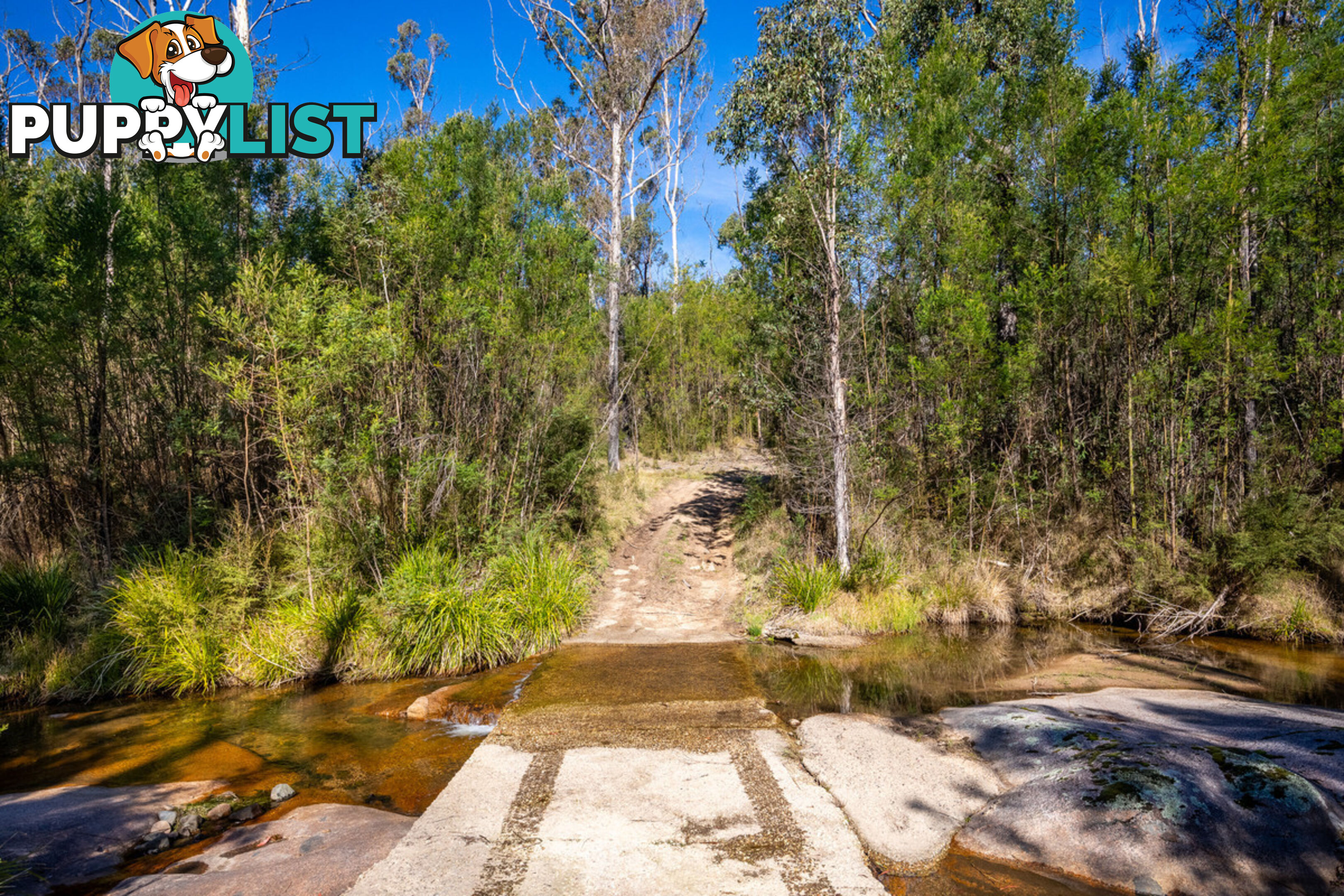 130 DP750228 Fulligans Road Pericoe NSW 2550