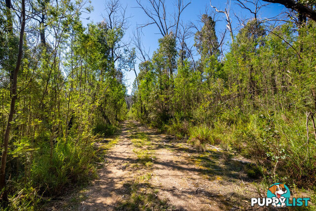 130 DP750228 Fulligans Road Pericoe NSW 2550