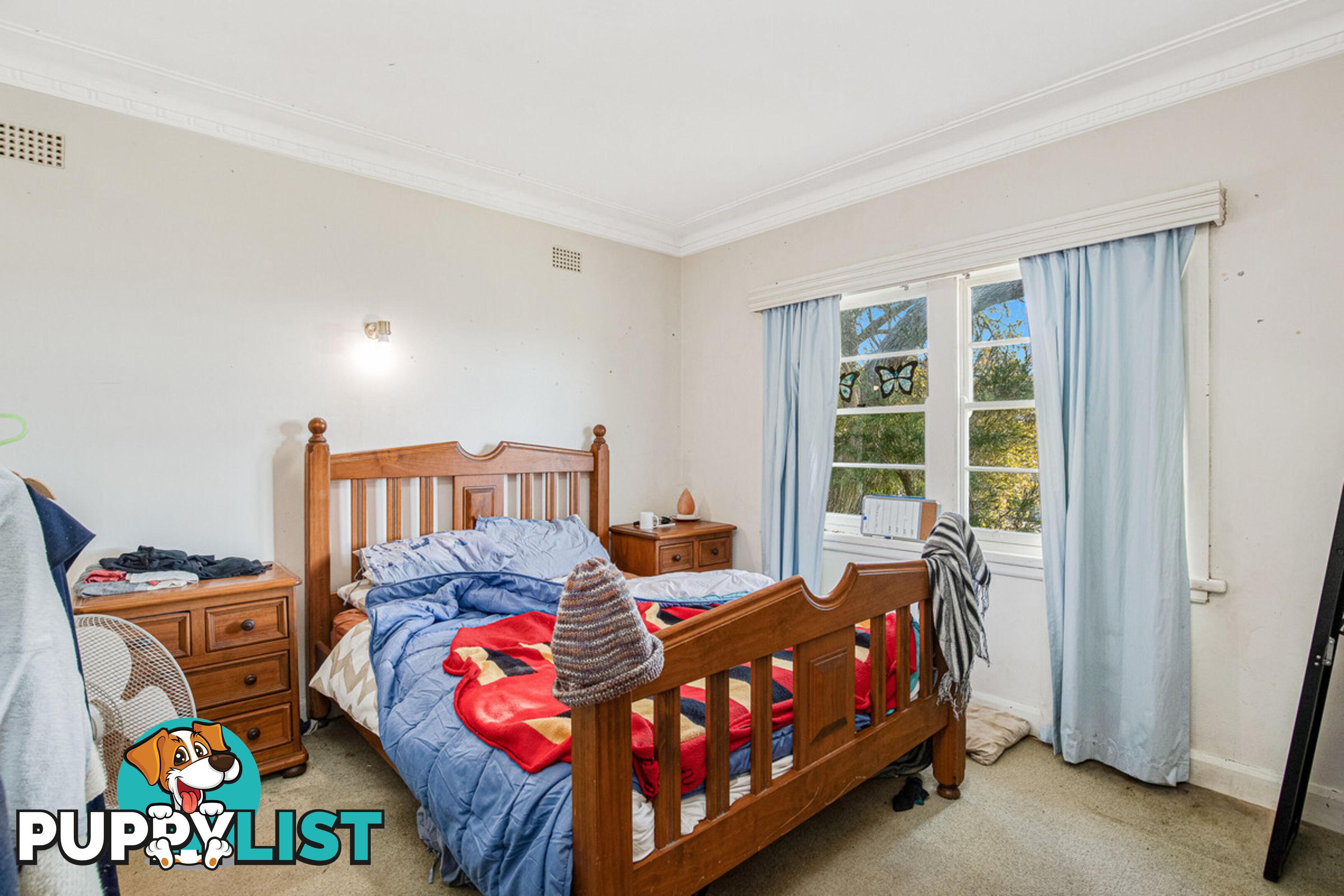 50 Carp Street Bega NSW 2550