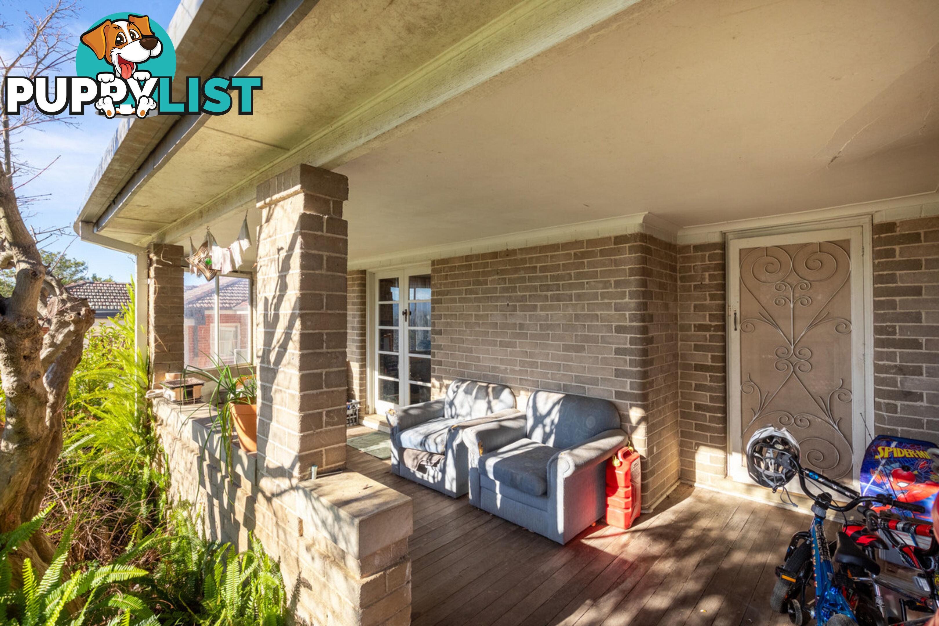 50 Carp Street Bega NSW 2550